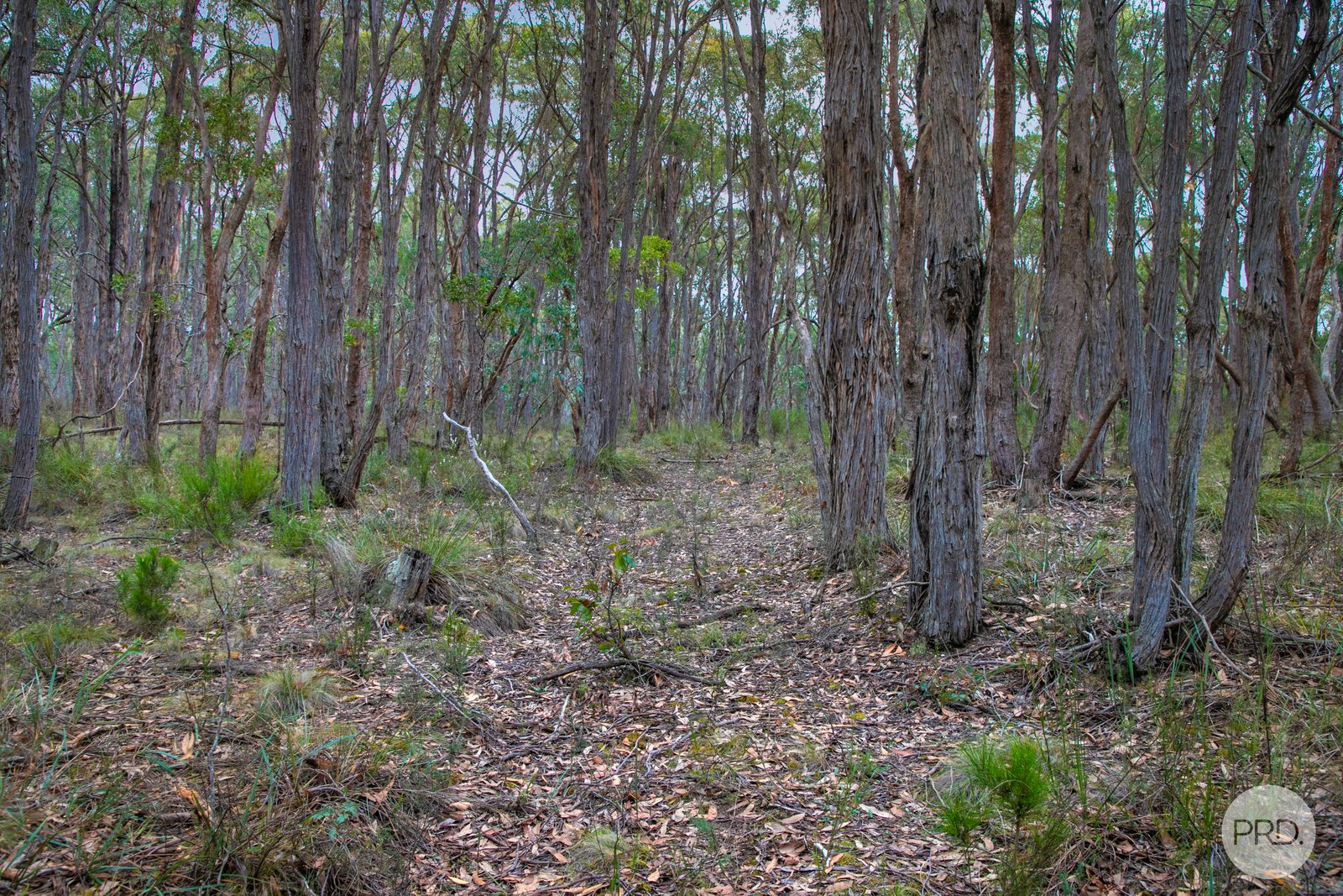 Lot 7 Vermont Road SMYTHESDALE 4