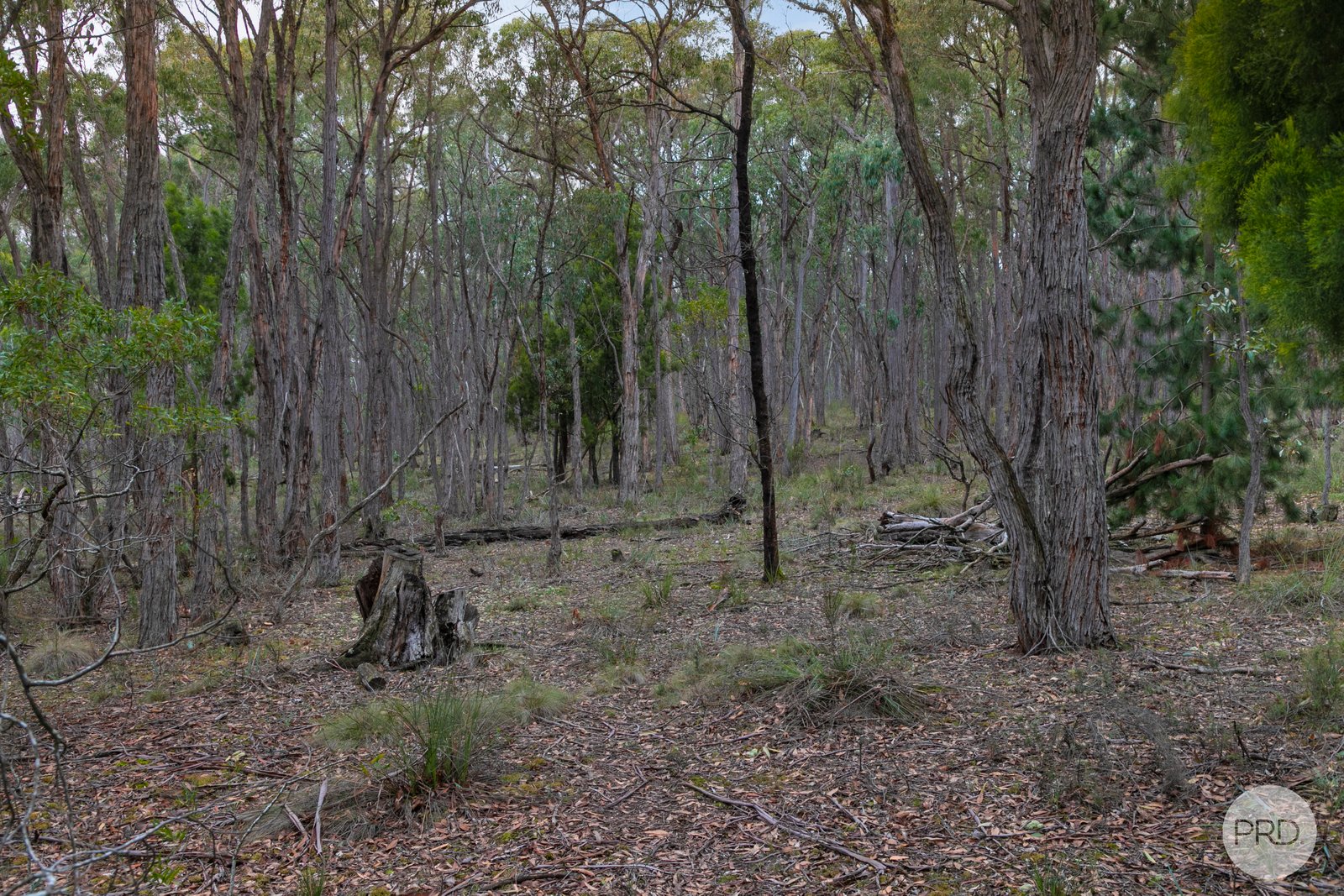 Lot 7 Vermont Road SMYTHESDALE 5