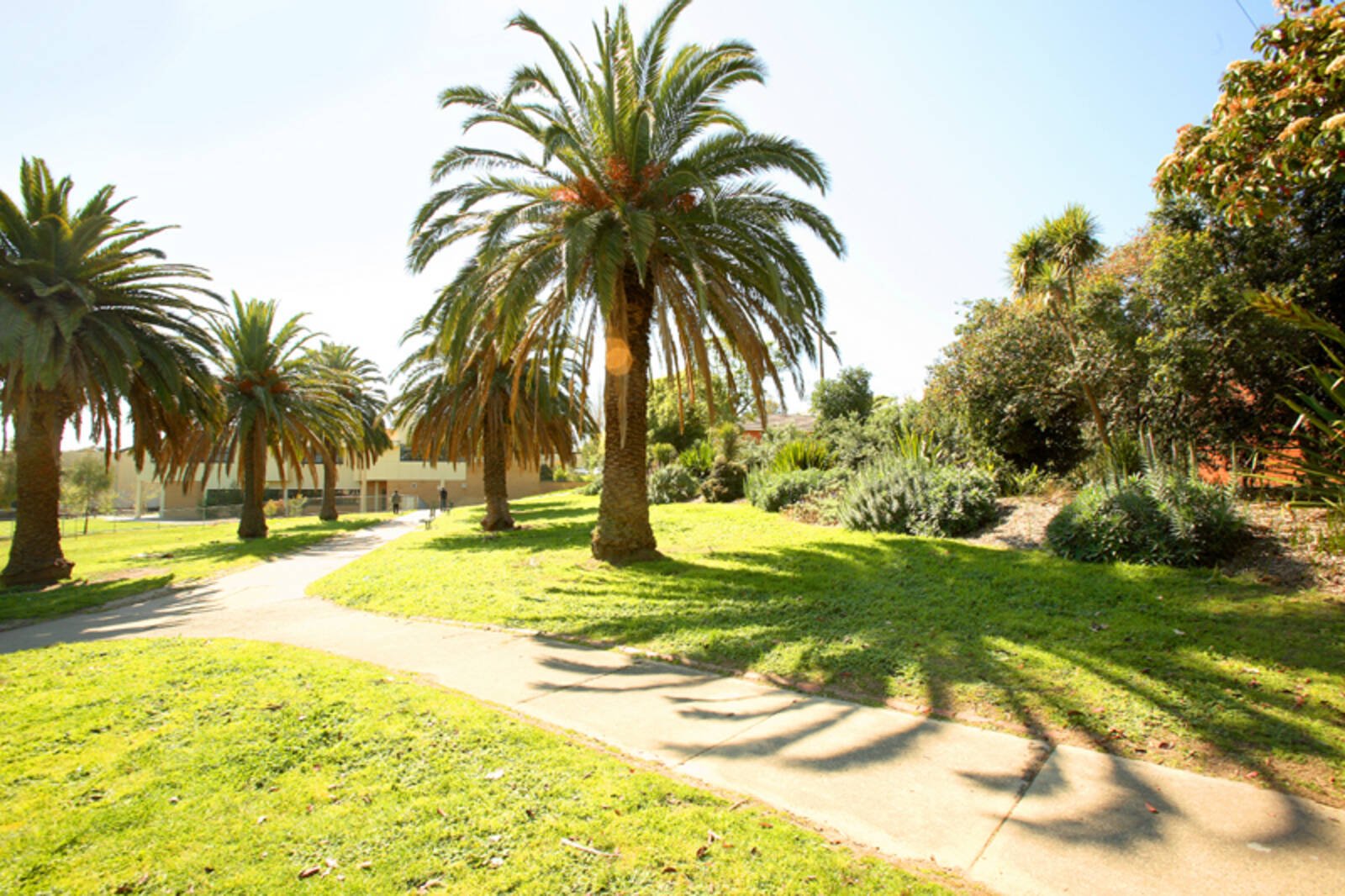 Real Estate and Property in Lot 7/54 Mont Albert Road, Canterbury, VIC