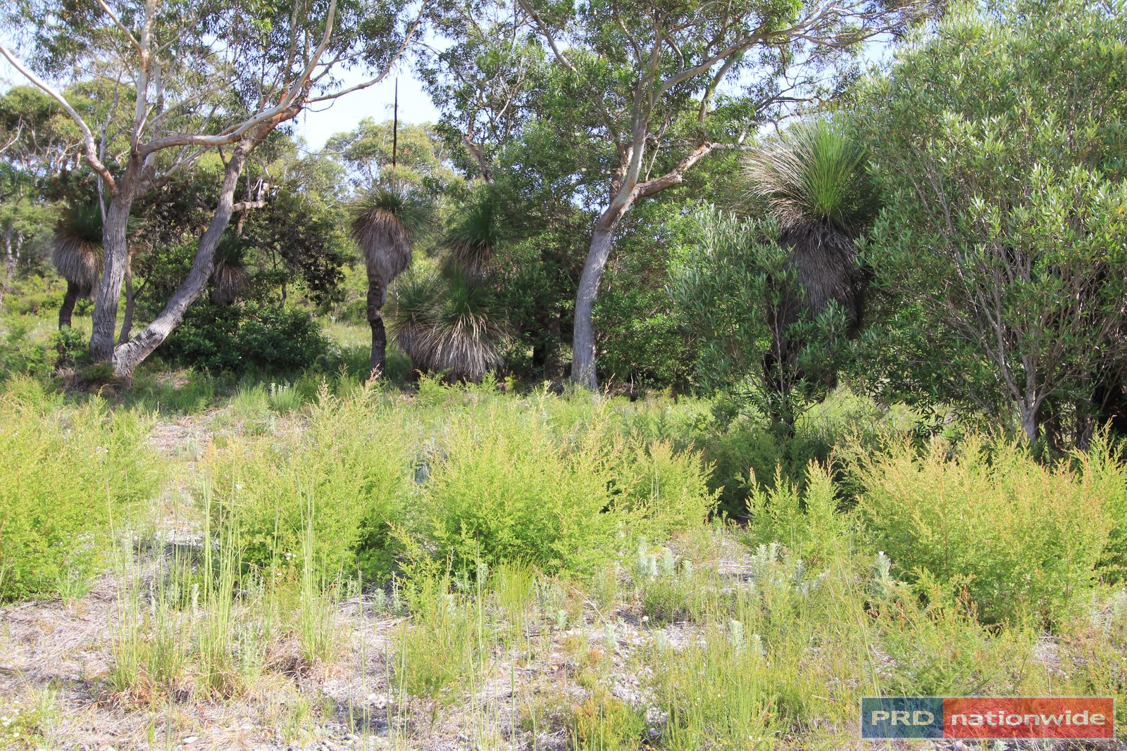 Lot 79 Prince Of Wales Drive DUNBOGAN 4