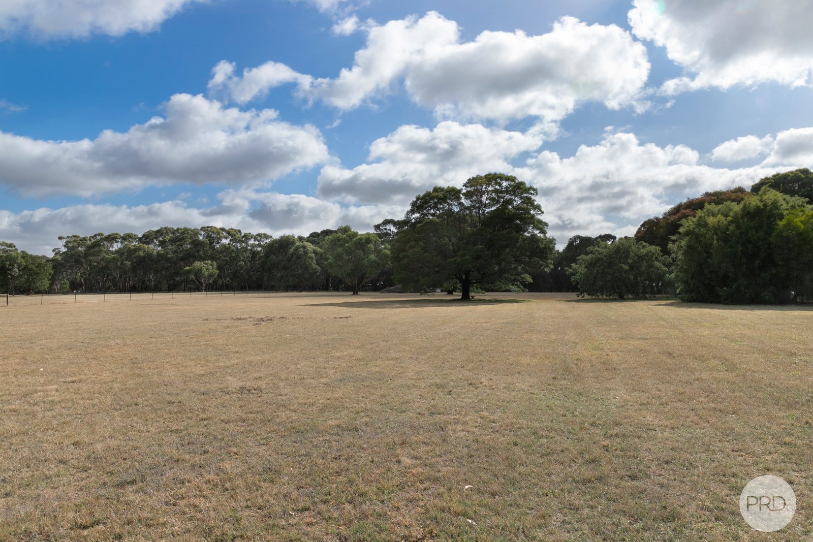 Snowgum Road DEREEL 3