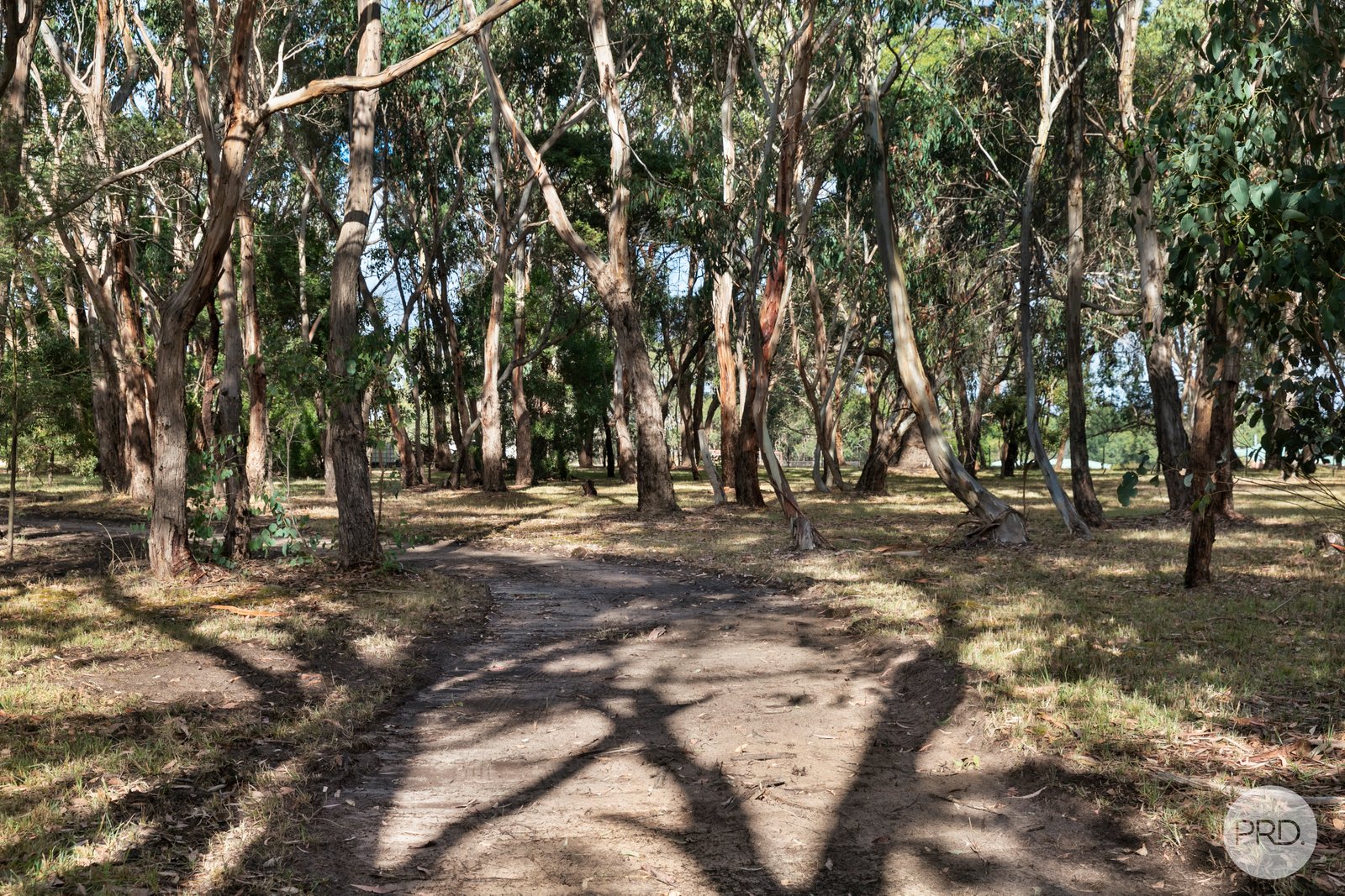 Snowgum Road DEREEL 7