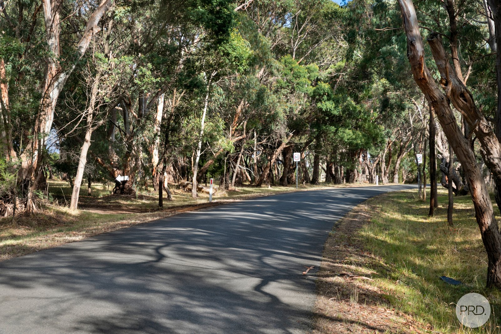 Snowgum Road DEREEL 8