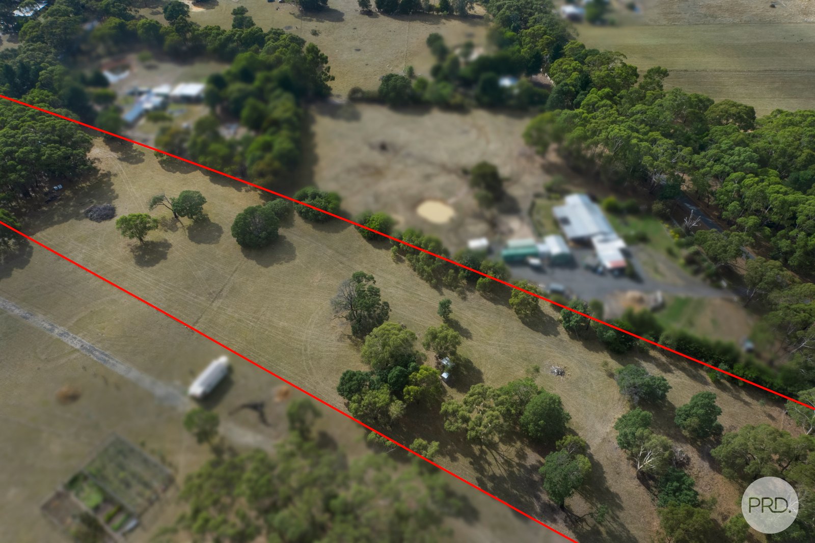 Snowgum Road DEREEL 9