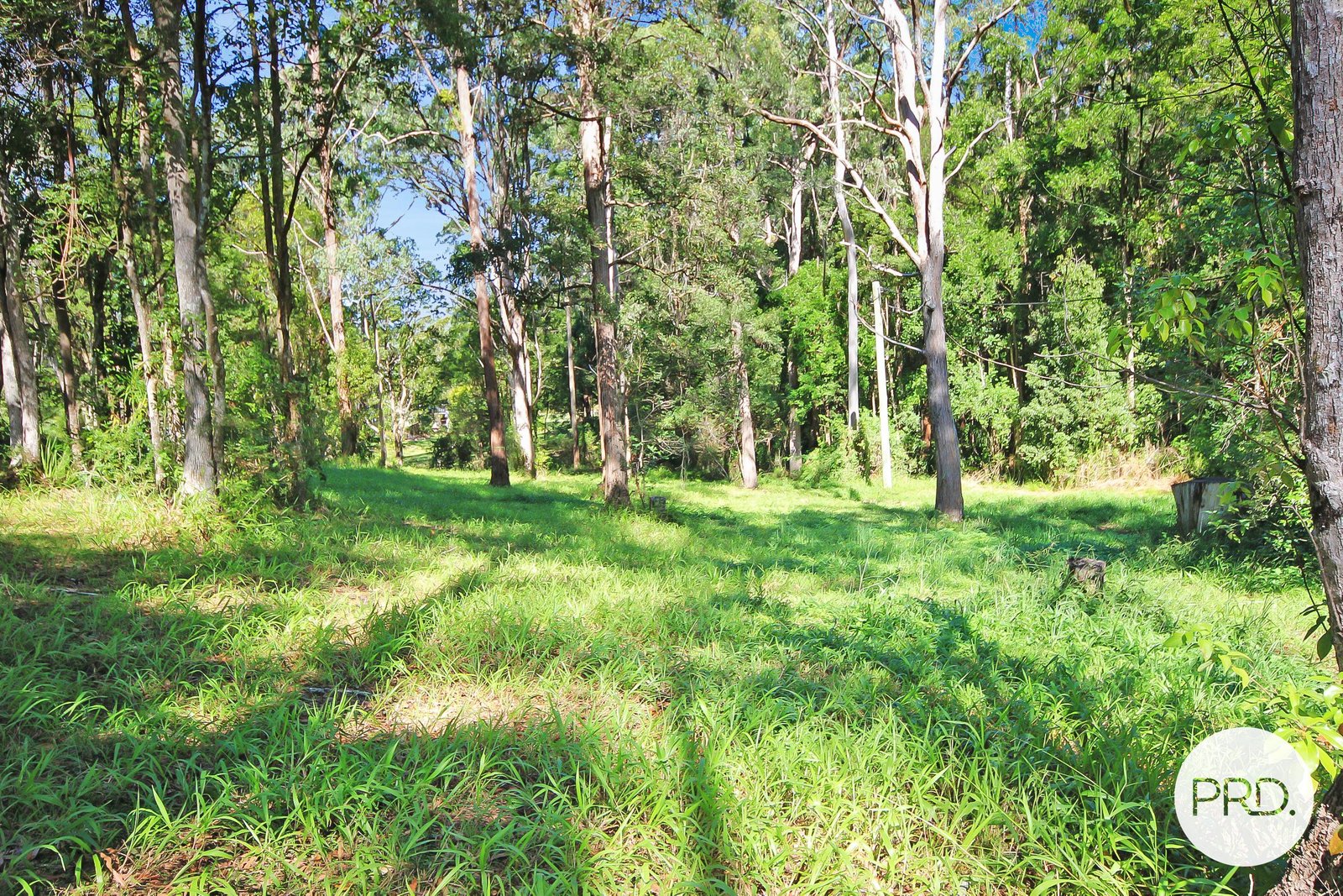 Lot 85 Dog Track Road KENDALL 3
