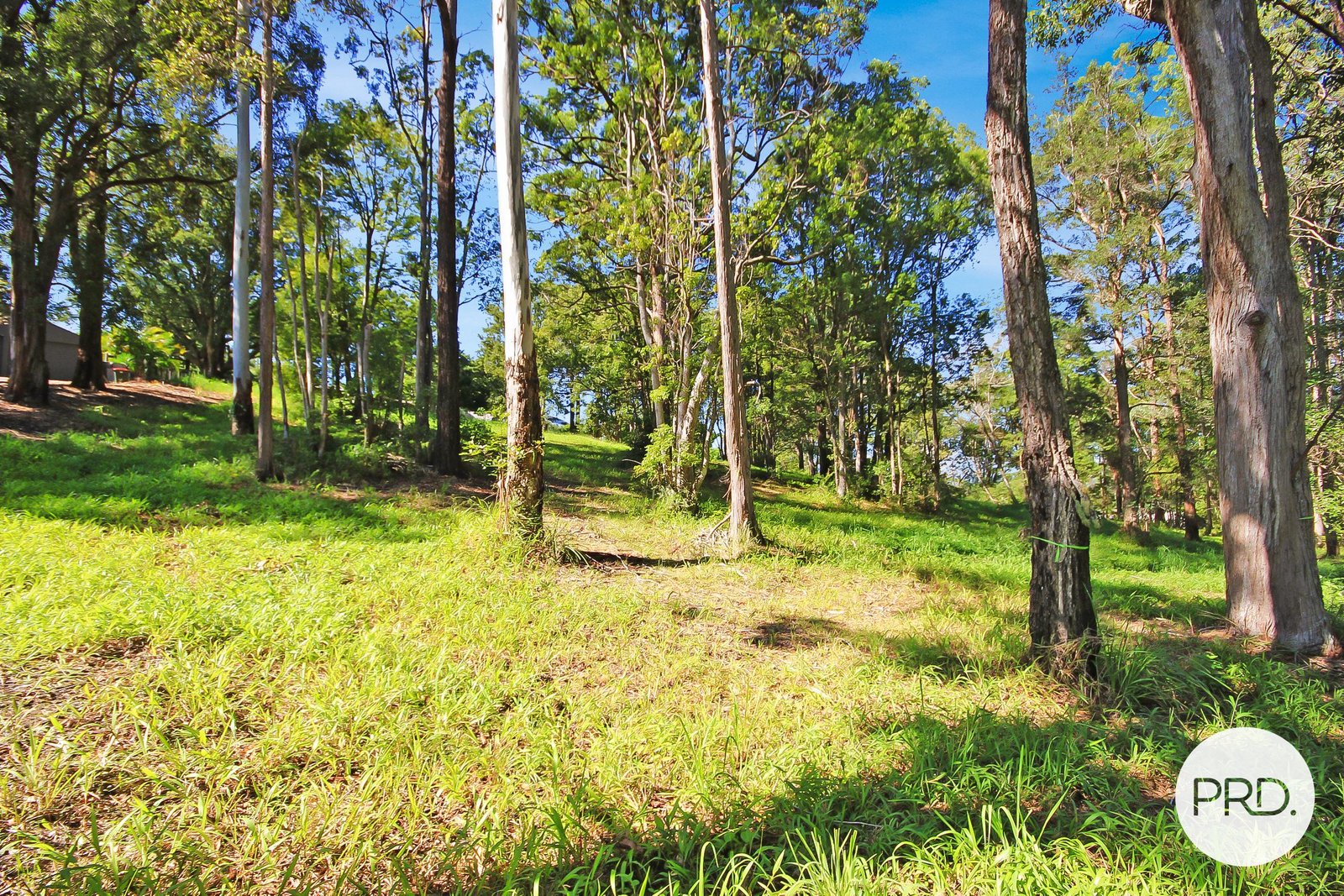 Lot 85 Dog Track Road KENDALL 4