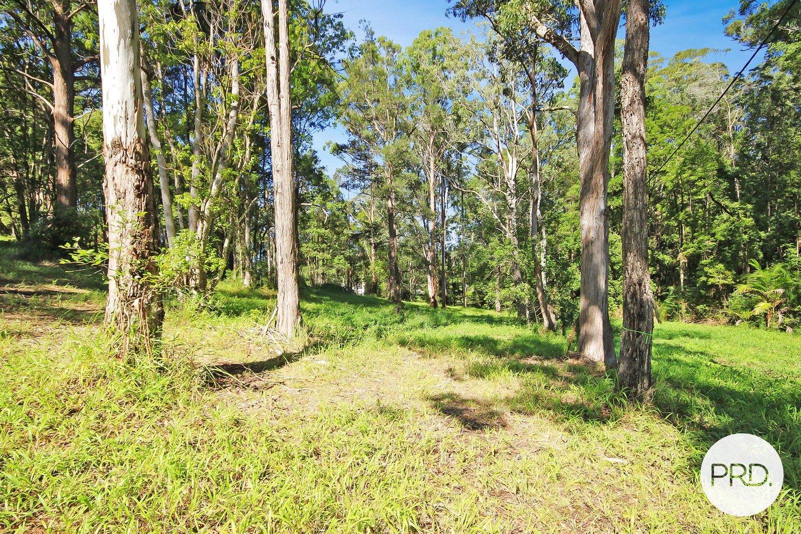 Lot 85 Dog Track Road KENDALL 6