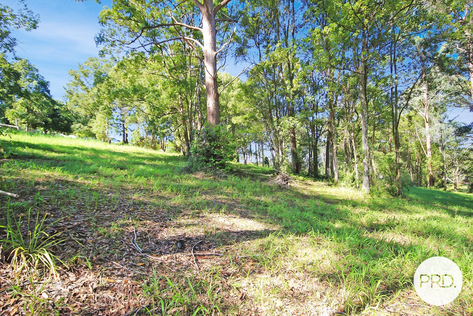 Lot 85 Dog Track Road KENDALL 7