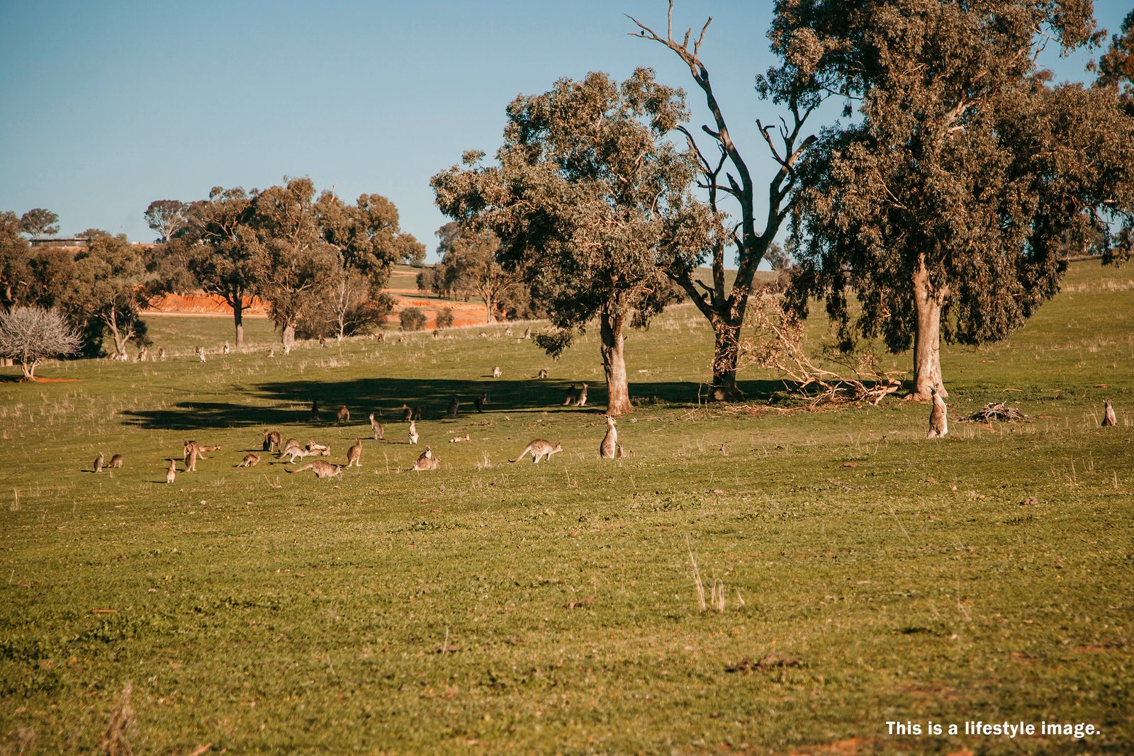 Lot 86 Fenner Drive LLOYD 4