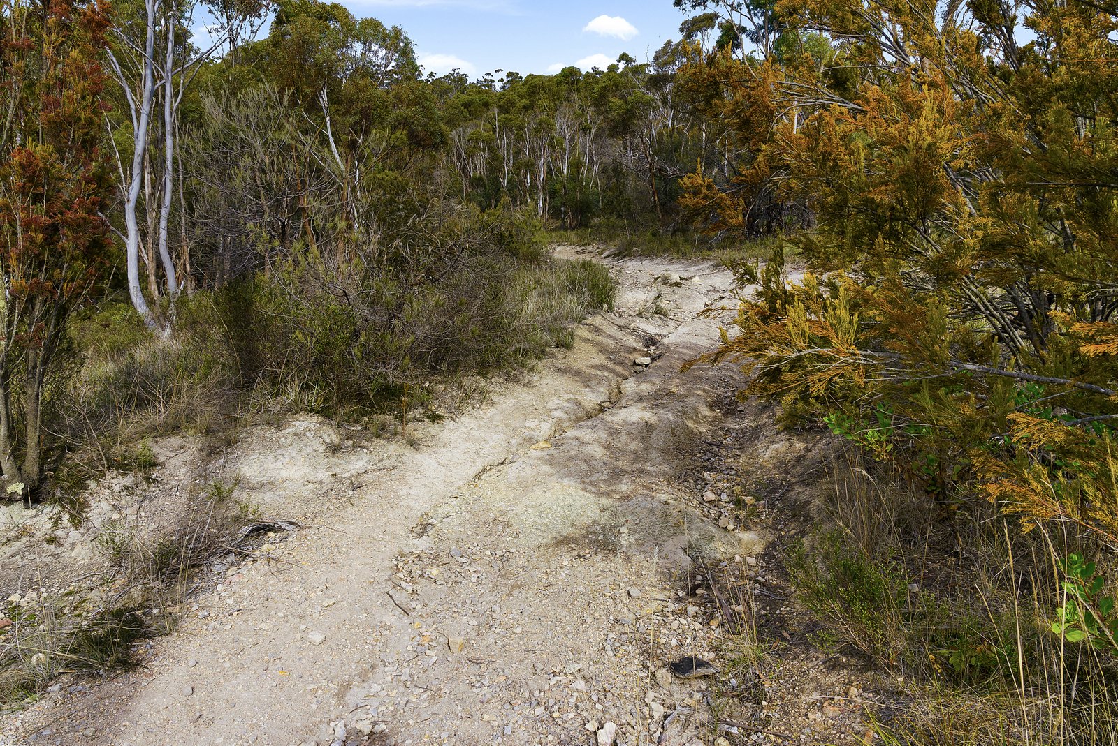 Lot 88 Sharland Avenue NEW NORFOLK 8