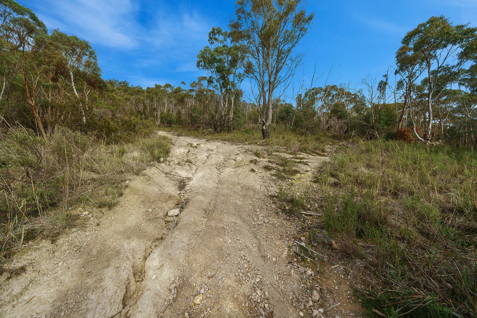 Lot 88 Sharland Avenue NEW NORFOLK 9