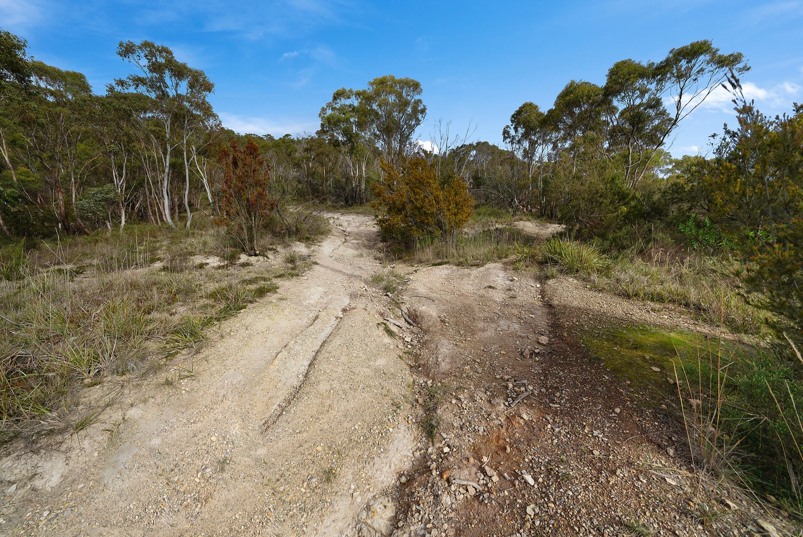 Lot 88 Sharland Avenue NEW NORFOLK 11