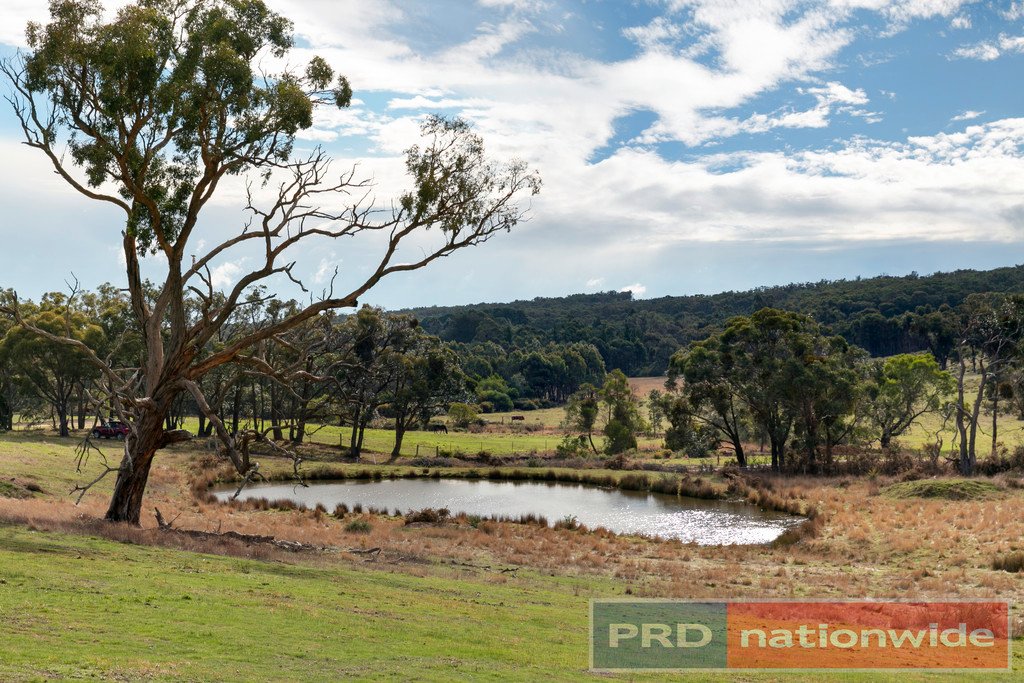 Lot 9 Slatey Creek Road North INVERMAY 1