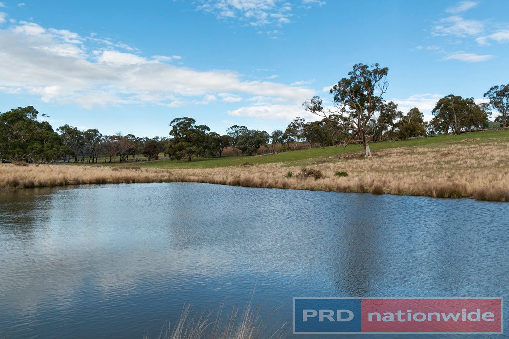 Lot 9 Slatey Creek Road North INVERMAY 4