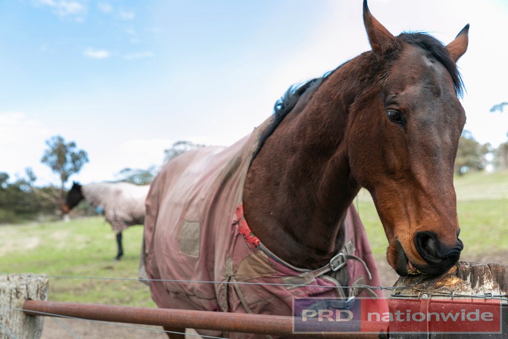 Lot 9 Slatey Creek Road North INVERMAY 6