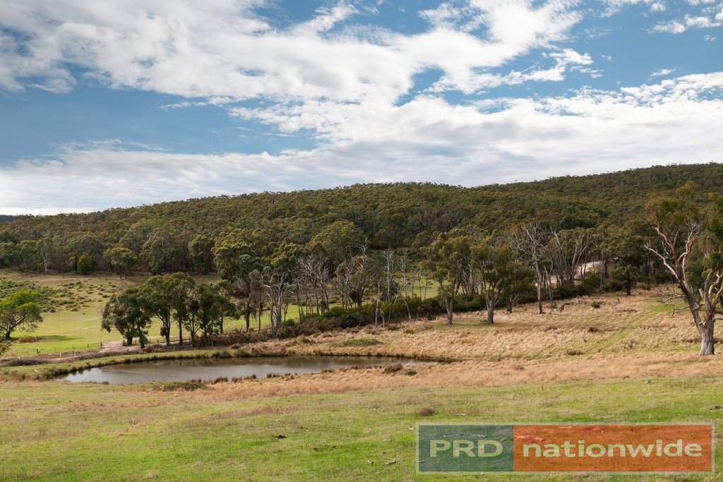 Lot 9 Slatey Creek Road North INVERMAY 8