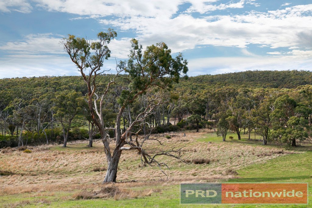 Lot 9 Slatey Creek Road North INVERMAY 10