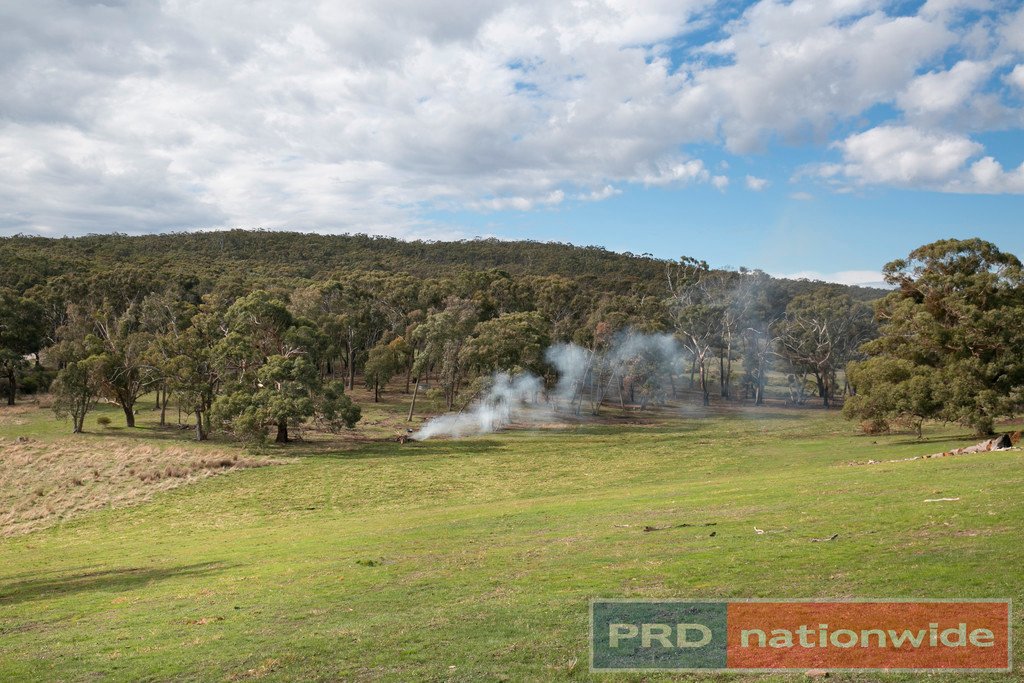 Lot 9 Slatey Creek Road North INVERMAY 11