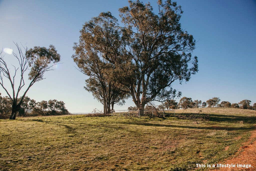 LOT 96 Watson Boulevard LLOYD 6