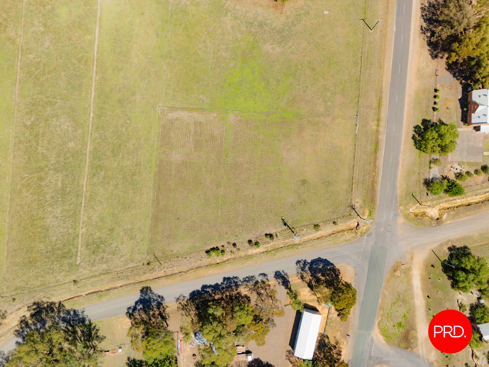 55 Laanecoorie - Newbridge Road NEWBRIDGE 6