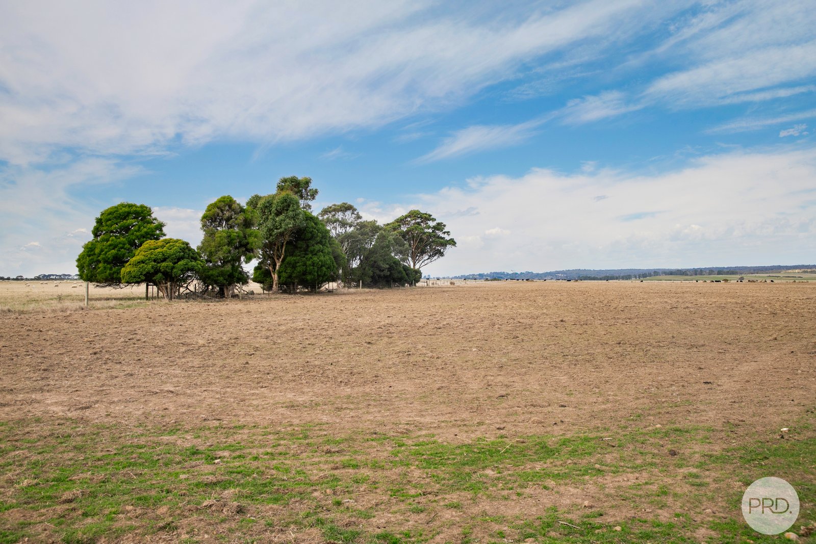 11, 11A & 12 Sect 11 Parish of Chepstowe  CHEPSTOWE 8
