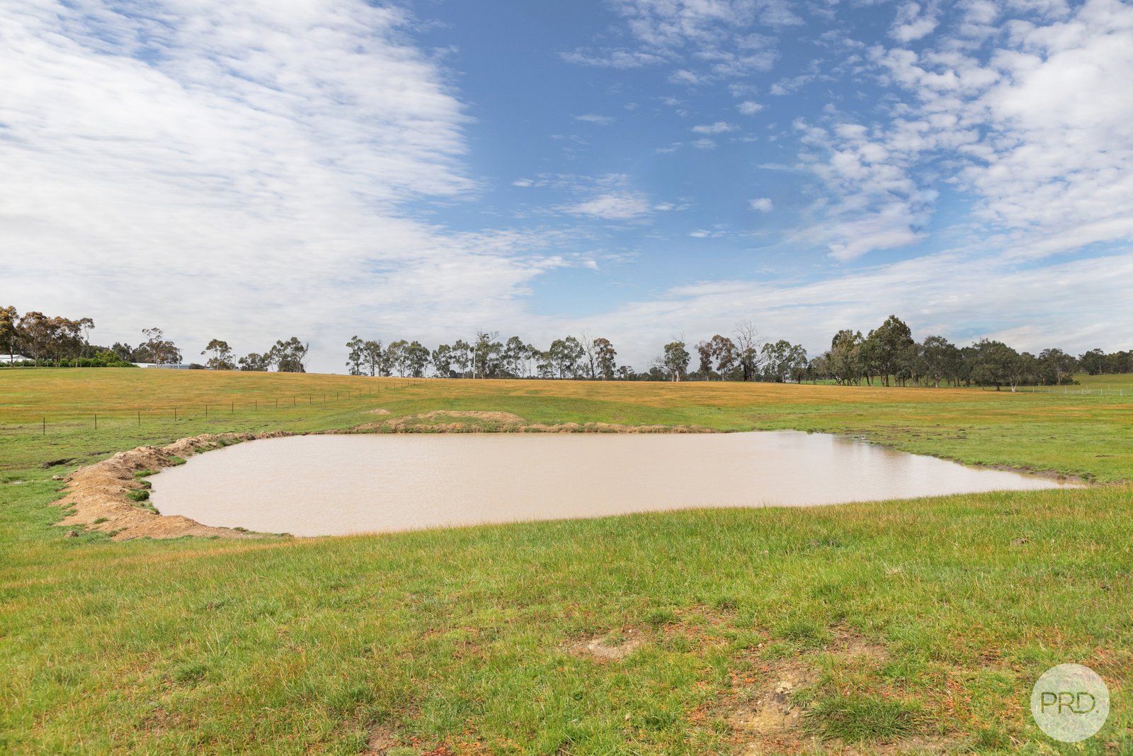 53 Scotts Lane SCOTSBURN 6