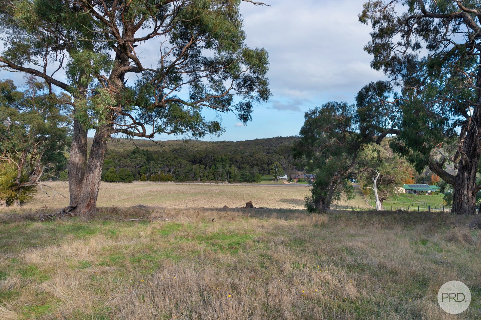 141 Sebastopol-Smythesdale Road SMYTHESDALE 3