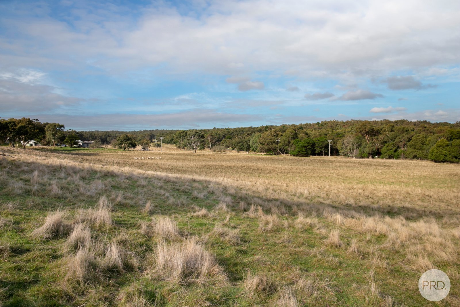 141 Sebastopol-Smythesdale Road SMYTHESDALE 4