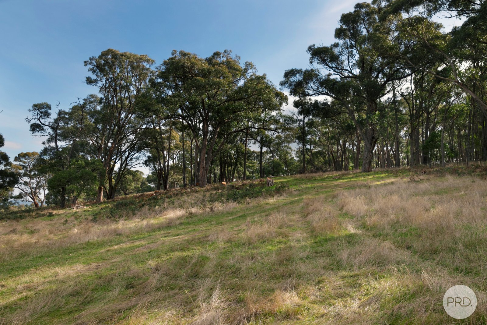 141 Sebastopol-Smythesdale Road SMYTHESDALE 4