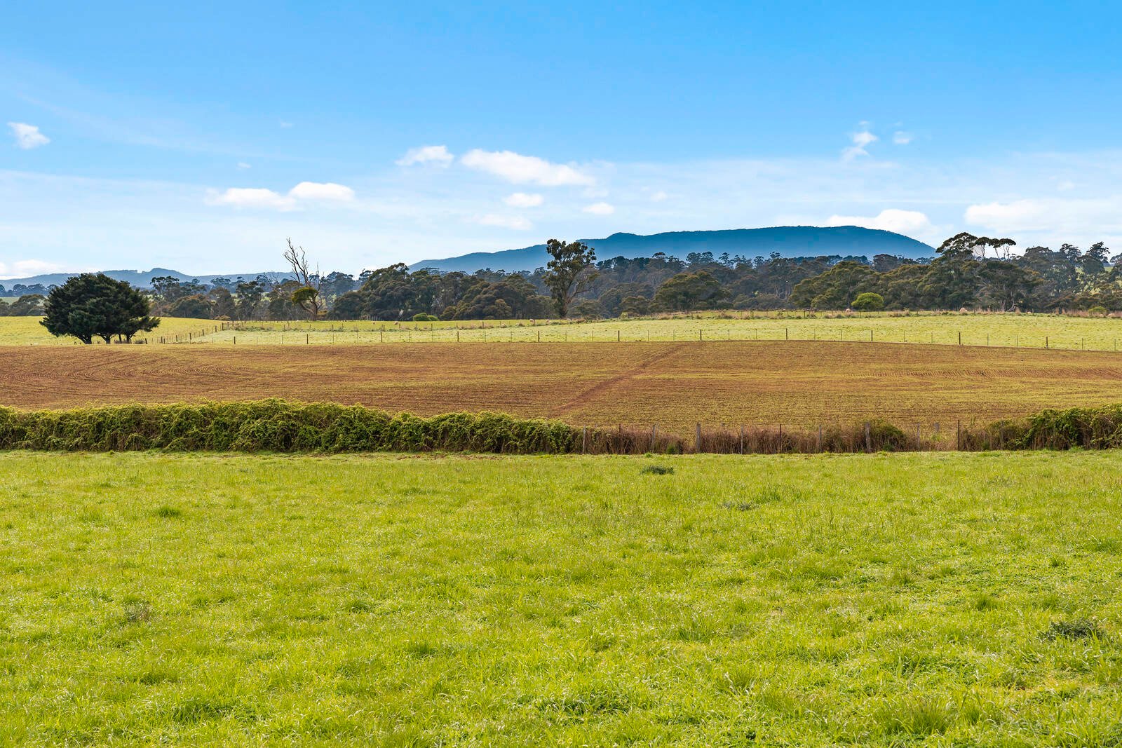 Real Estate and Property in Lot D/237 Coliban Road, Trentham, VIC