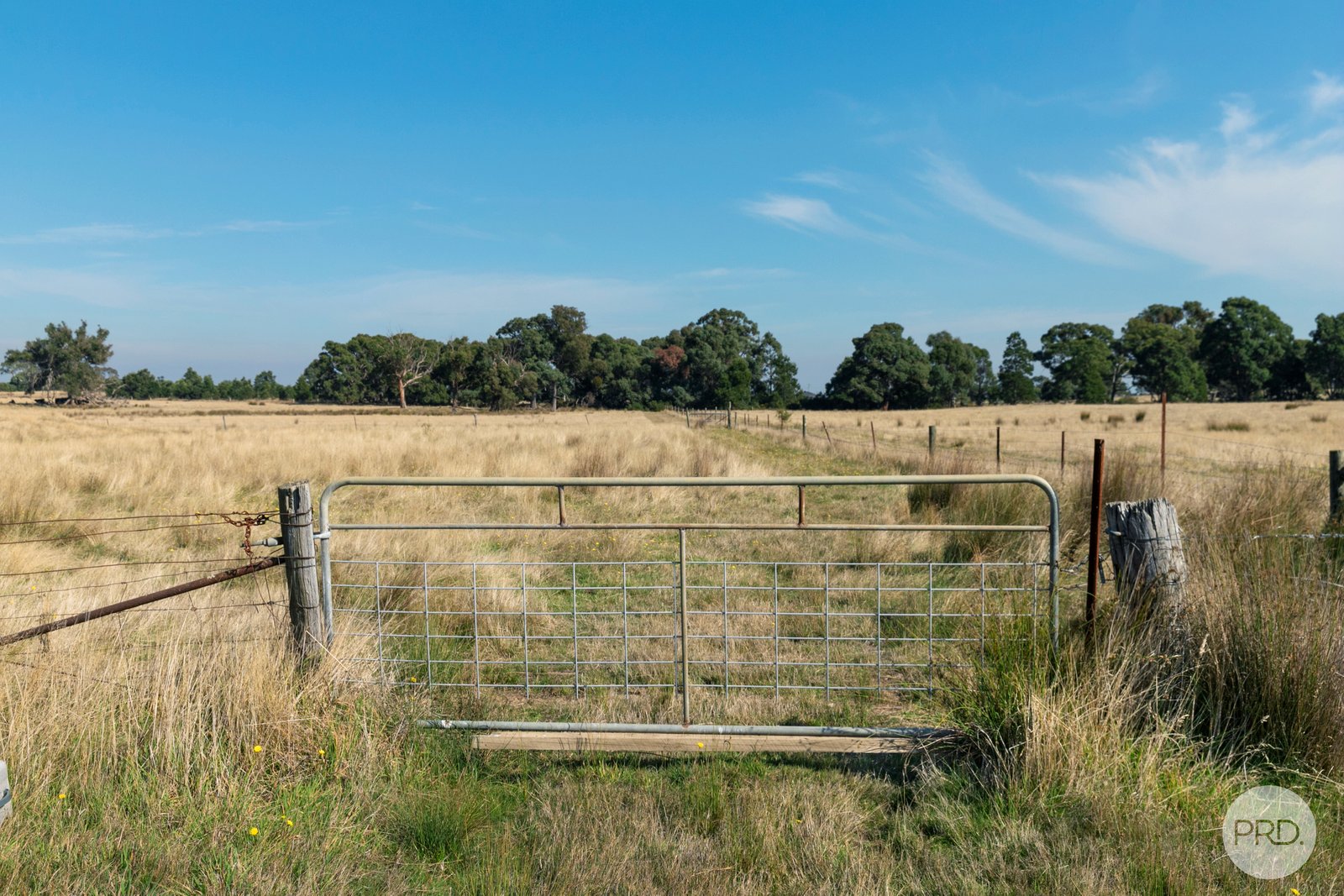 4476 Creswick-Newstead Road BROOMFIELD 3