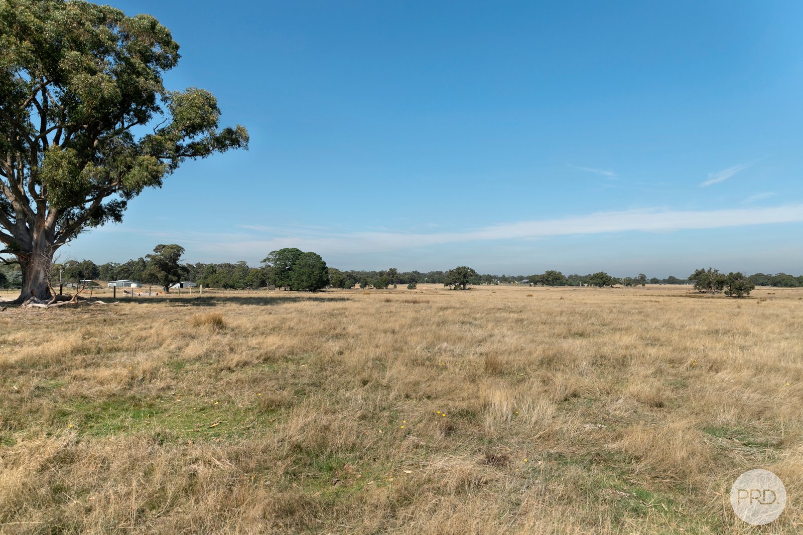 4476 Creswick-Newstead Road BROOMFIELD 5