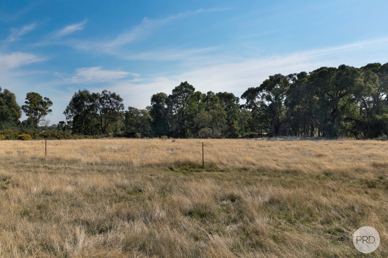 4476 Creswick-Newstead Road BROOMFIELD 6