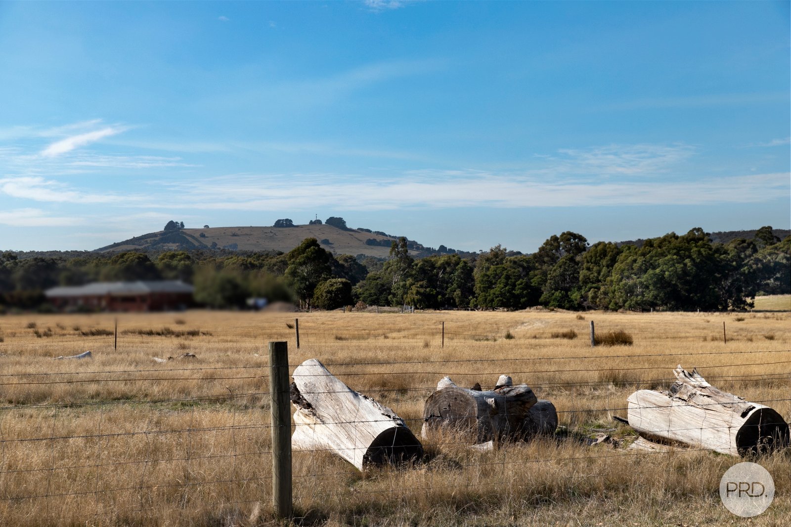 4476 Creswick-Newstead Road BROOMFIELD 7