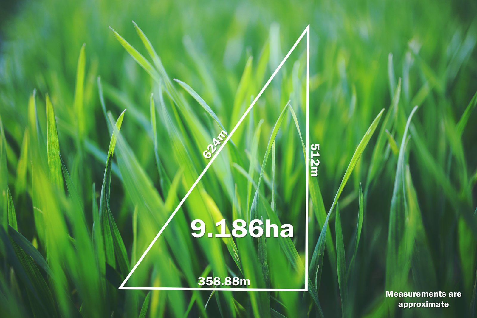 4476 Creswick-Newstead Road BROOMFIELD 8