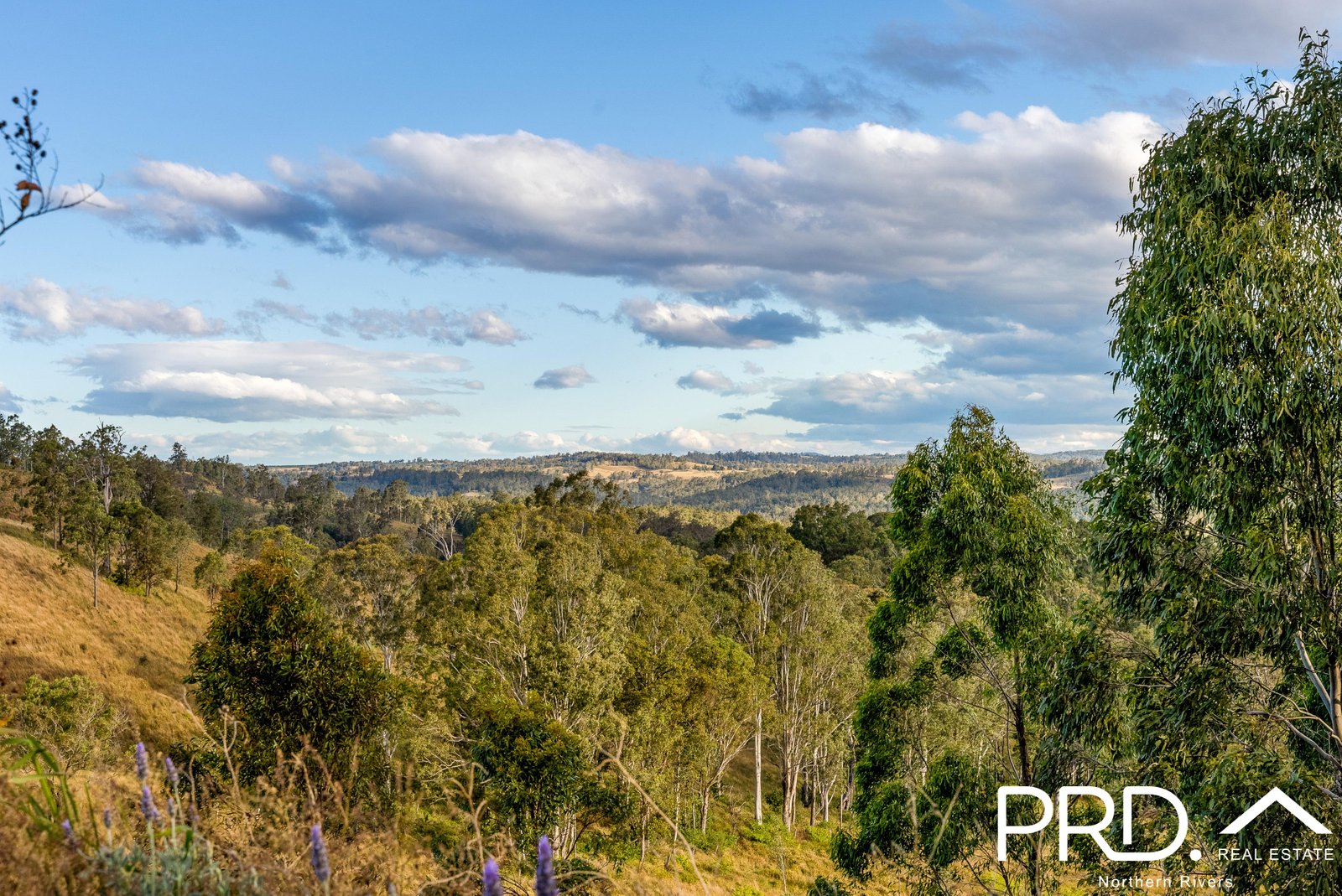 Lot12 DP17315 Dyraaba Road DYRAABA 34