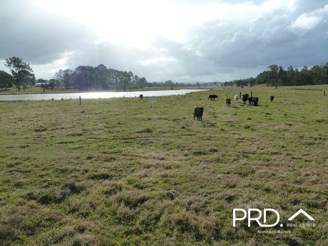 Lot2/950 Benns Road SHANNON BROOK 5