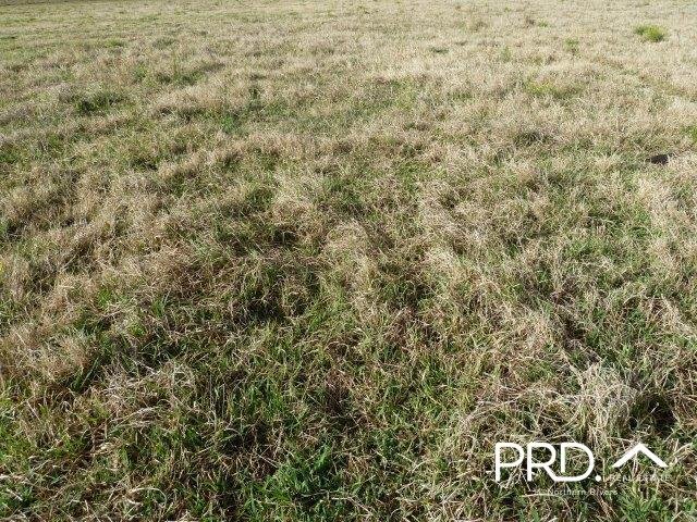 Lot2/950 Benns Road SHANNON BROOK 7