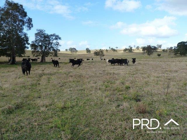 Lot2/950 Benns Road SHANNON BROOK 8
