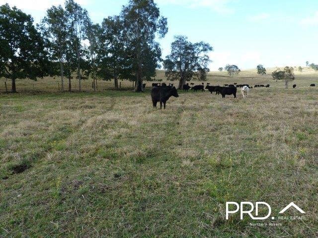 Lot2/950 Benns Road SHANNON BROOK 9