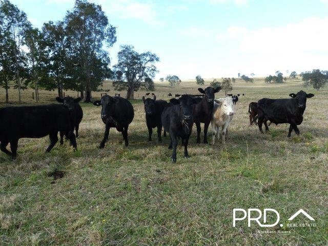 Lot2/950 Benns Road SHANNON BROOK 10