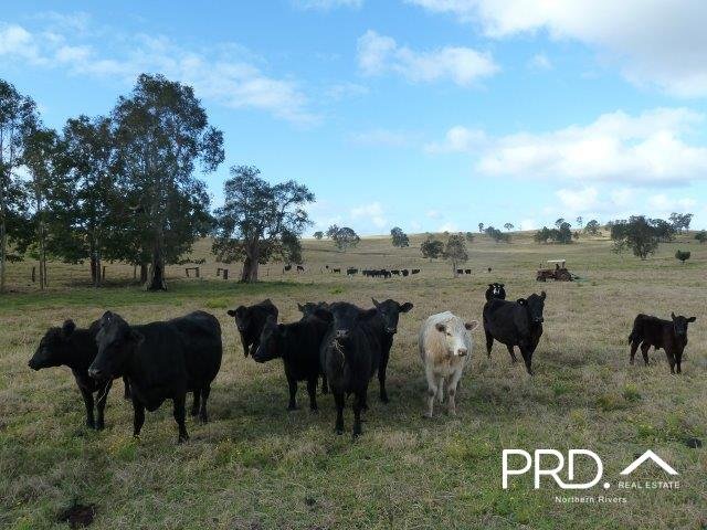 Lot2/950 Benns Road SHANNON BROOK 11