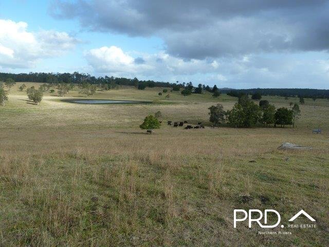 Lot2/950 Benns Road SHANNON BROOK 13