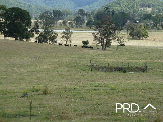 Lot2/950 Benns Road SHANNON BROOK 21