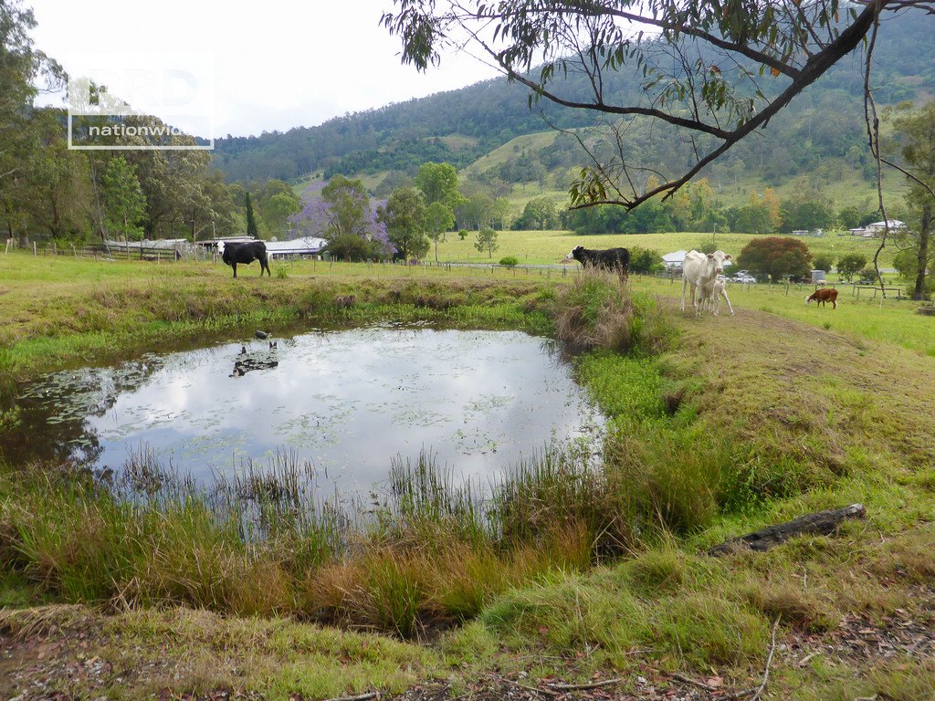 Lot53 Gorge Creek Road, Grevillia  KYOGLE 2