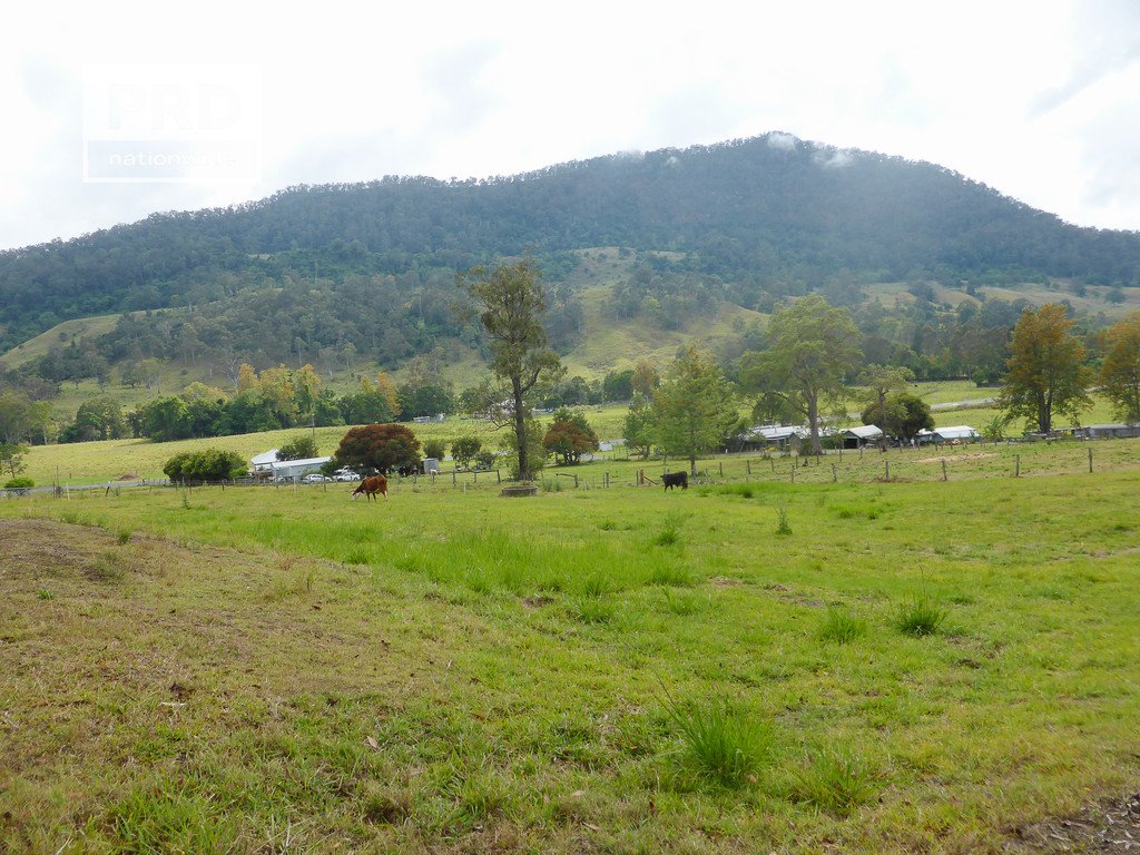 Lot53 Gorge Creek Road, Grevillia  KYOGLE 4