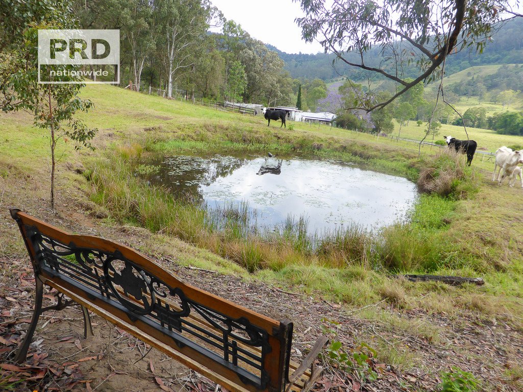 Lot53 Gorge Creek Road, Grevillia  KYOGLE 7