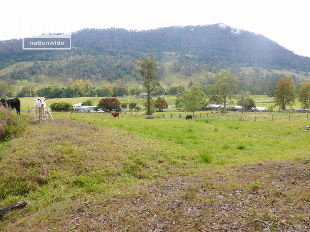 Lot53 Gorge Creek Road, Grevillia  KYOGLE 8