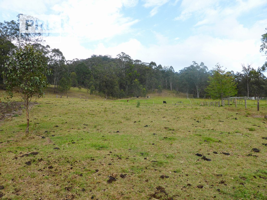 Lot53 Gorge Creek Road, Grevillia  KYOGLE 10