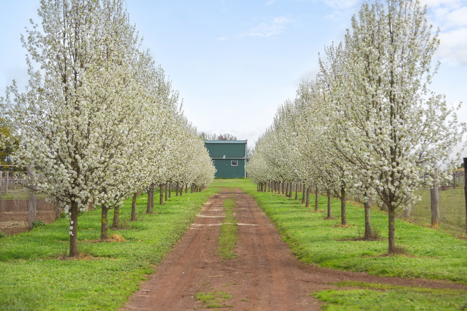 Lots 1 & 2 / 114 Cemetery Road SMEATON 22